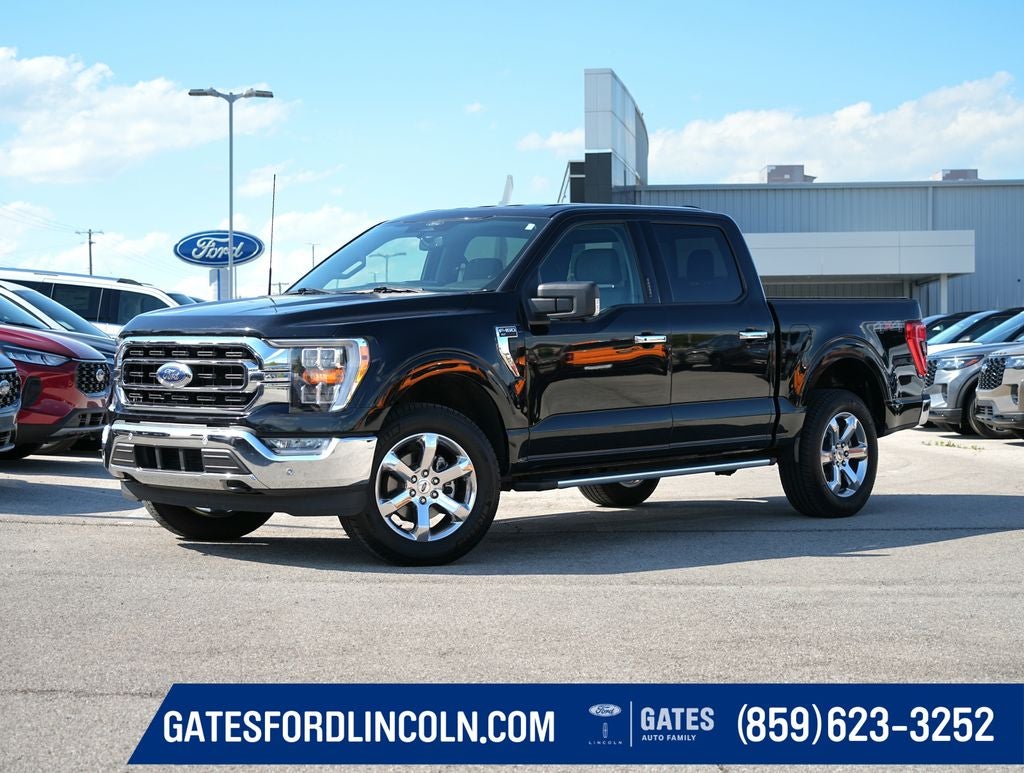 2022 Ford F-150 XLT