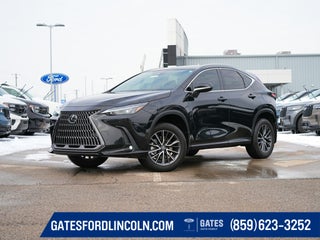 2024 Lexus NX 350 Premium