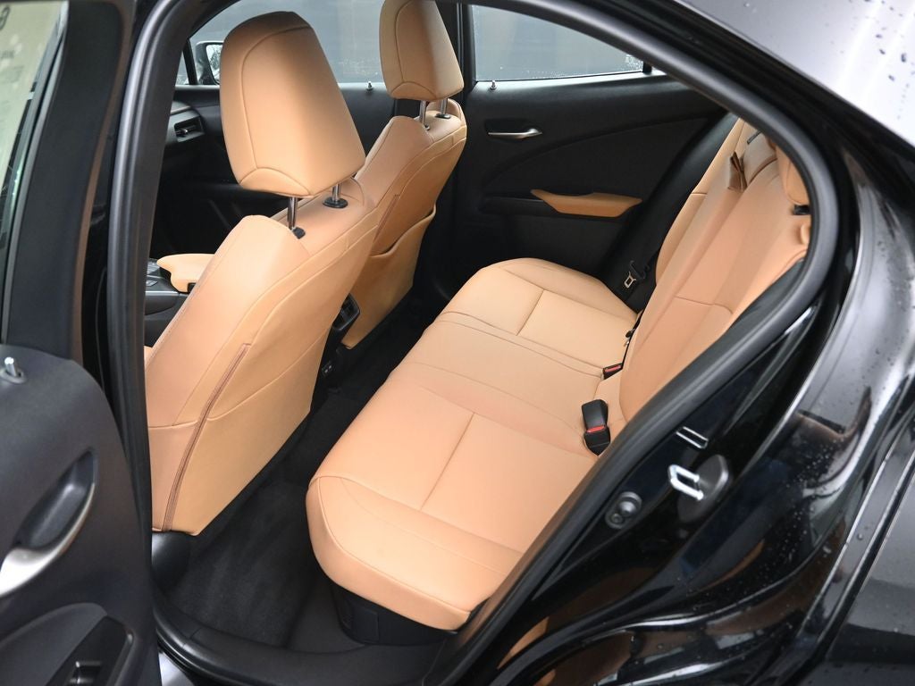 2025 Lexus UX 300h Premium