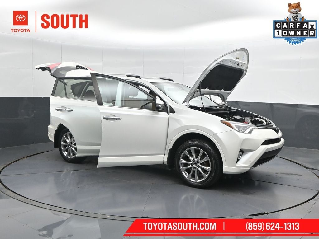 2017 Toyota RAV4 Platinum