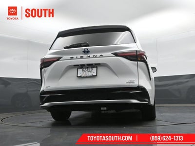 2023 Toyota Sienna XSE 7 Passenger