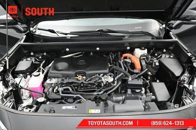 2024 Toyota RAV4 Hybrid Woodland