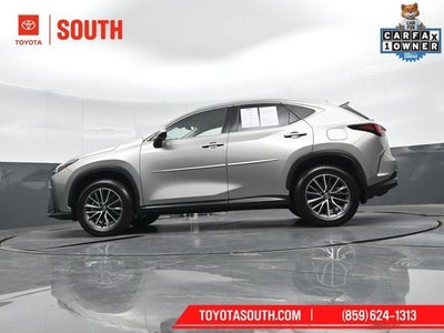 2023 Lexus NX NX 350h