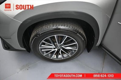 2023 Lexus NX NX 350h