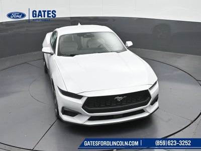 2026 Ford Mustang EcoBoost Premium