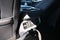 2027 Ford F-550SD Lariat DRW