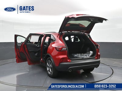 2025 Ford Escape Hybrid ST-Line