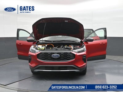2025 Ford Escape Hybrid ST-Line