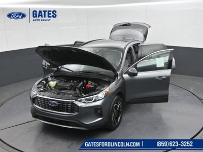 2026 Ford Escape Platinum