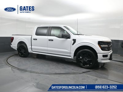 2026 Ford F-150 STX LOBO