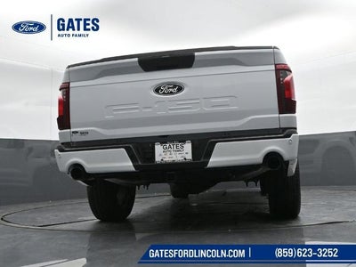 2025 Ford F-150 STX LOBO