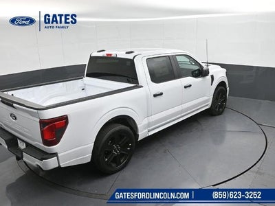 2025 Ford F-150 STX LOBO