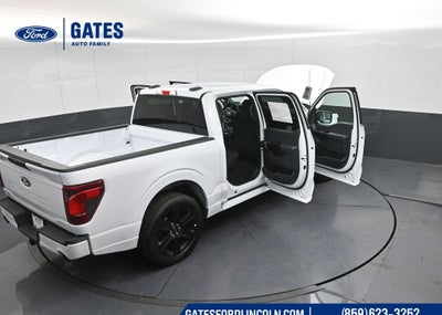 2025 Ford F-150 STX LOBO