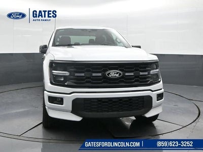 2025 Ford F-150 STX LOBO