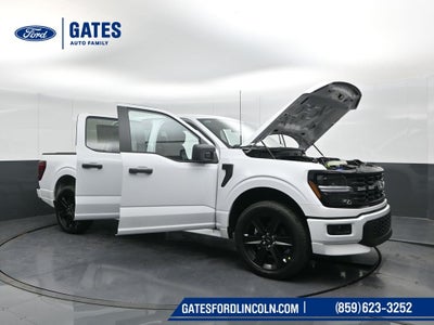 2025 Ford F-150 STX LOBO