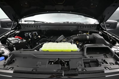 2026 Ford F-150 STX LOBO