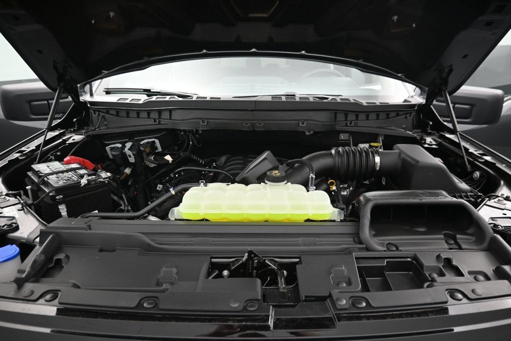 2026 Ford F-150 STX LOBO