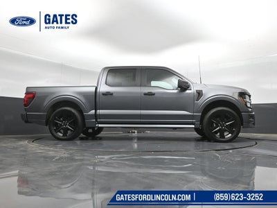 2026 Ford F-150 STX LOBO