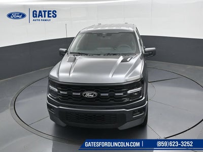 2026 Ford F-150 STX LOBO