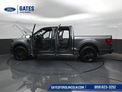 2026 Ford F-150 STX LOBO