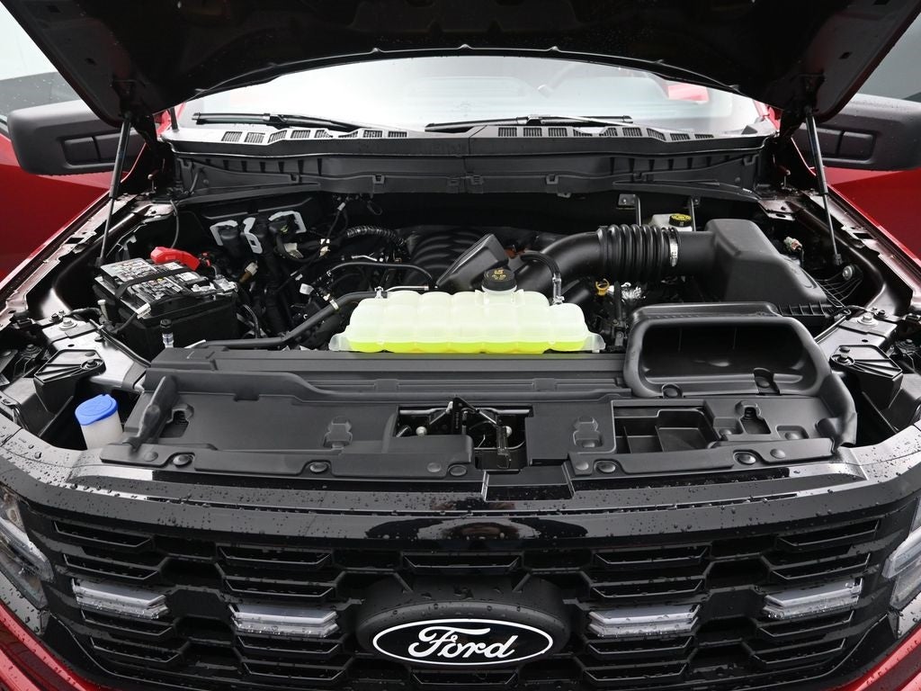 2025 Ford F-150 STX LOBO
