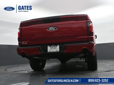 2025 Ford F-150 STX LOBO