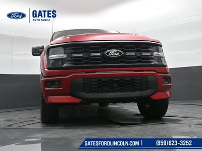 2025 Ford F-150 STX LOBO