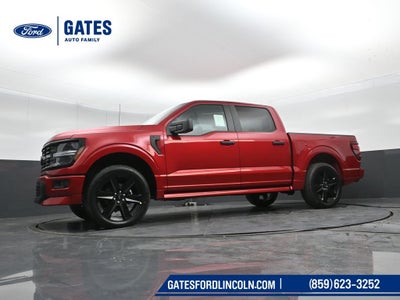 2025 Ford F-150 STX LOBO